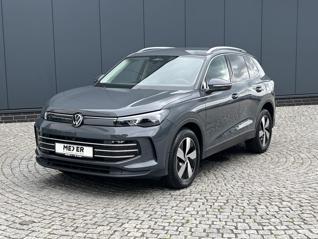 VW Tiguan in Delfingrau