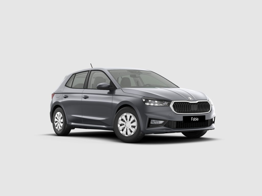 Front three-quarter view of a gray Skoda Fabia hatchback against a light background, showing the grille and headlights.