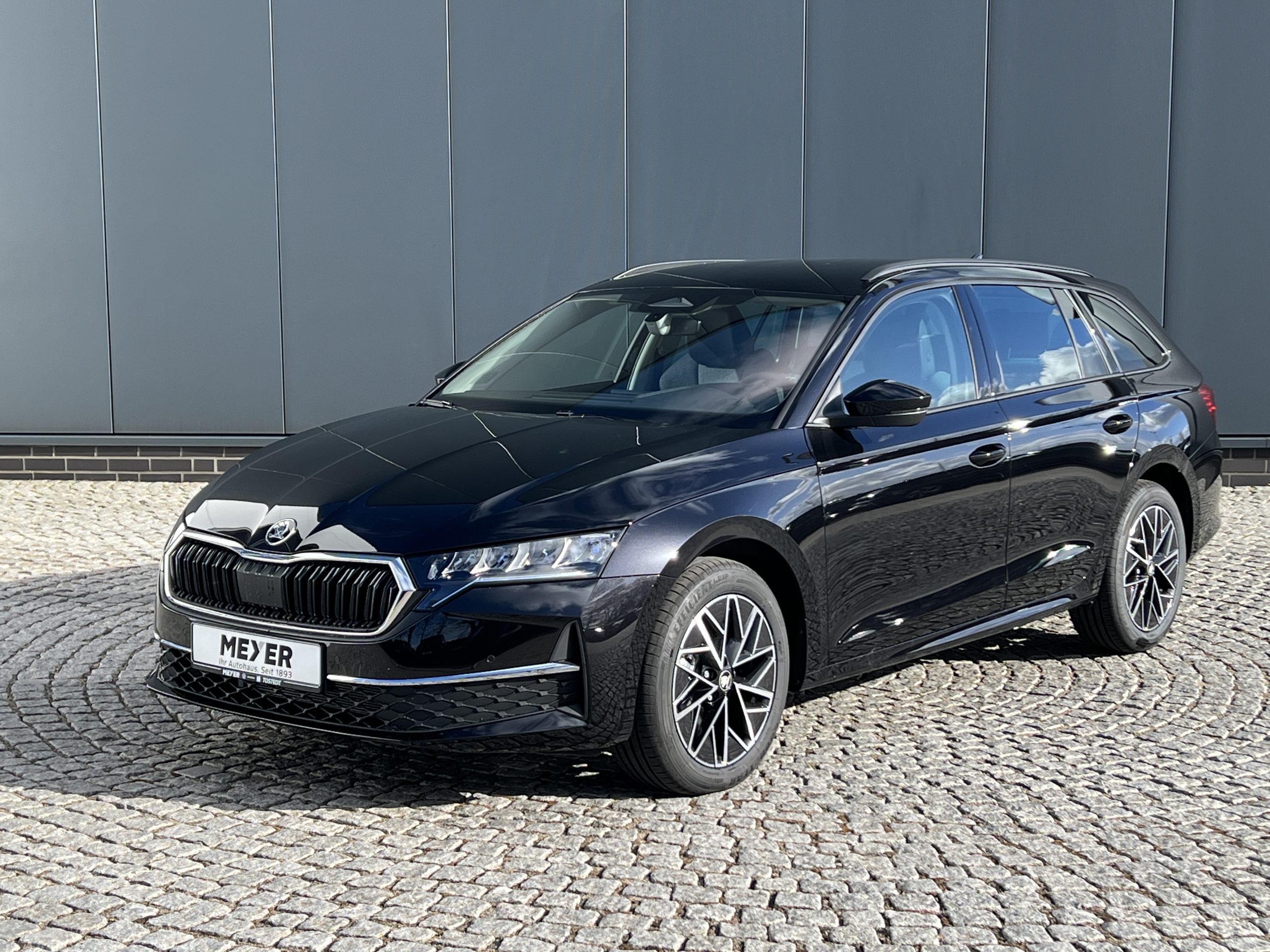 Abbildung Model Skoda Octavia Combi Balance 2.0 TDI DSG