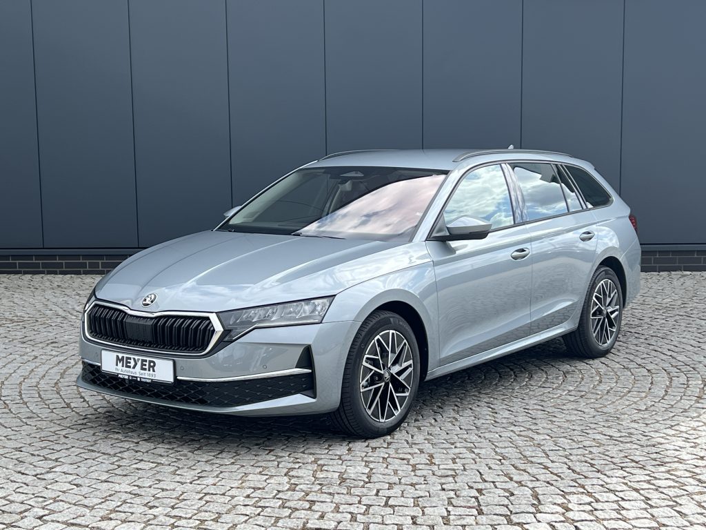 Front three-quarter view of a silver Skoda station wagon parked on a cobblestone driveway in front of a dark panel wall, roof rails visible.